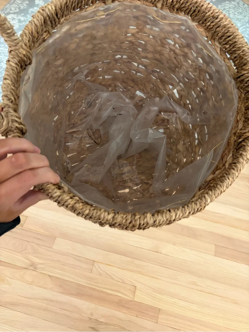 Handwoven Natural Seagrass Basket with Handles for Planst